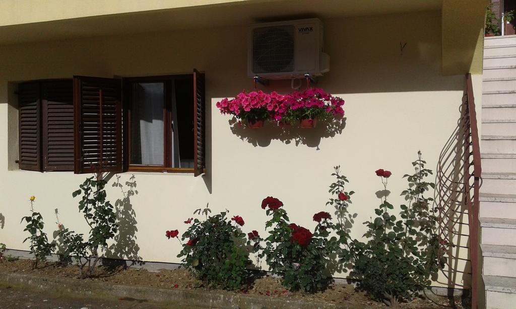 Apartment Adela โกตอร์ ภายนอก รูปภาพ